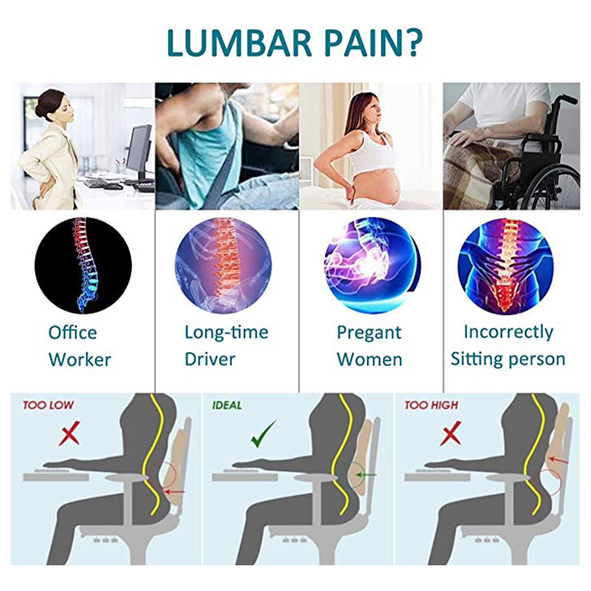 Backjoy Posture Correcting Pelvic Support Seat, Regular size, Pelvic Correction, Stoops, Lower Back Pain